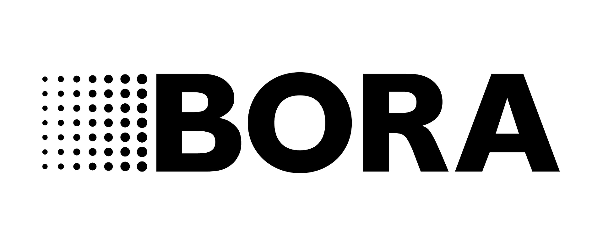 bora_logo